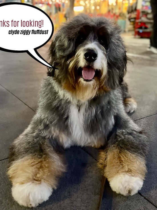 Set - Varley half zip (Hawley) top and bottoms 25" - Picture 15 of 15